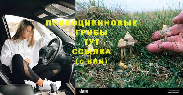 метадон Алзамай