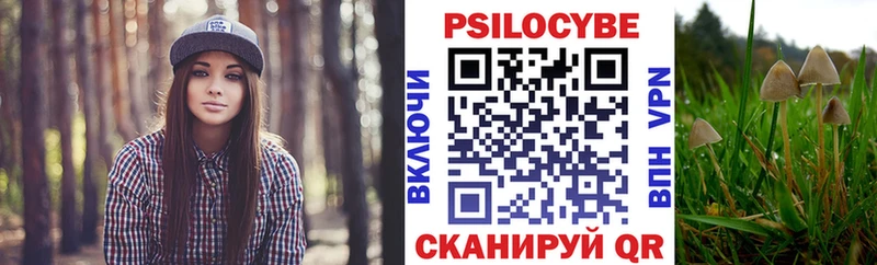 мега   купить наркотики цена  Анжеро-Судженск  Галлюциногенные грибы Magic Shrooms 